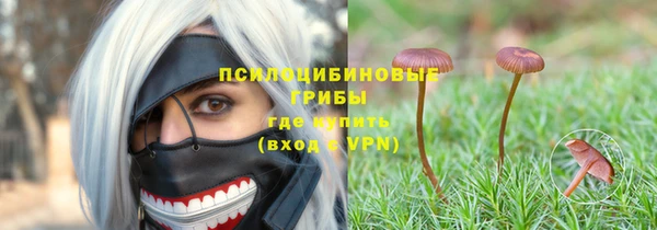 прущие грибы Новодвинск