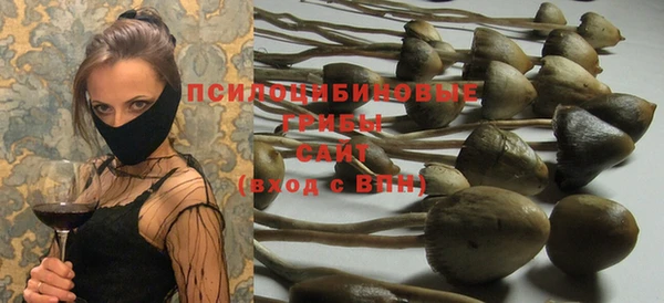 марихуана Новозыбков