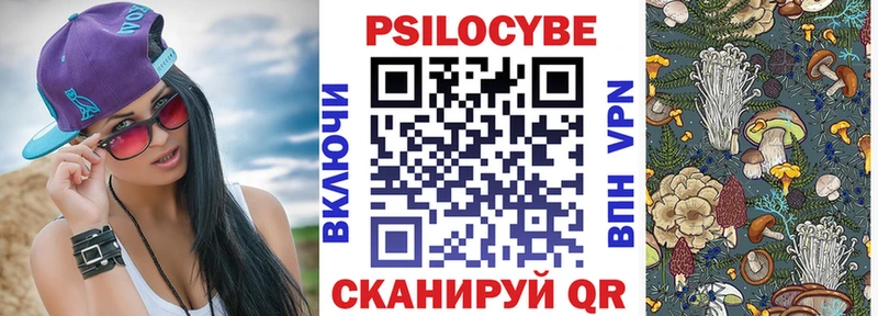 цена   Анива  Псилоцибиновые грибы мухоморы 